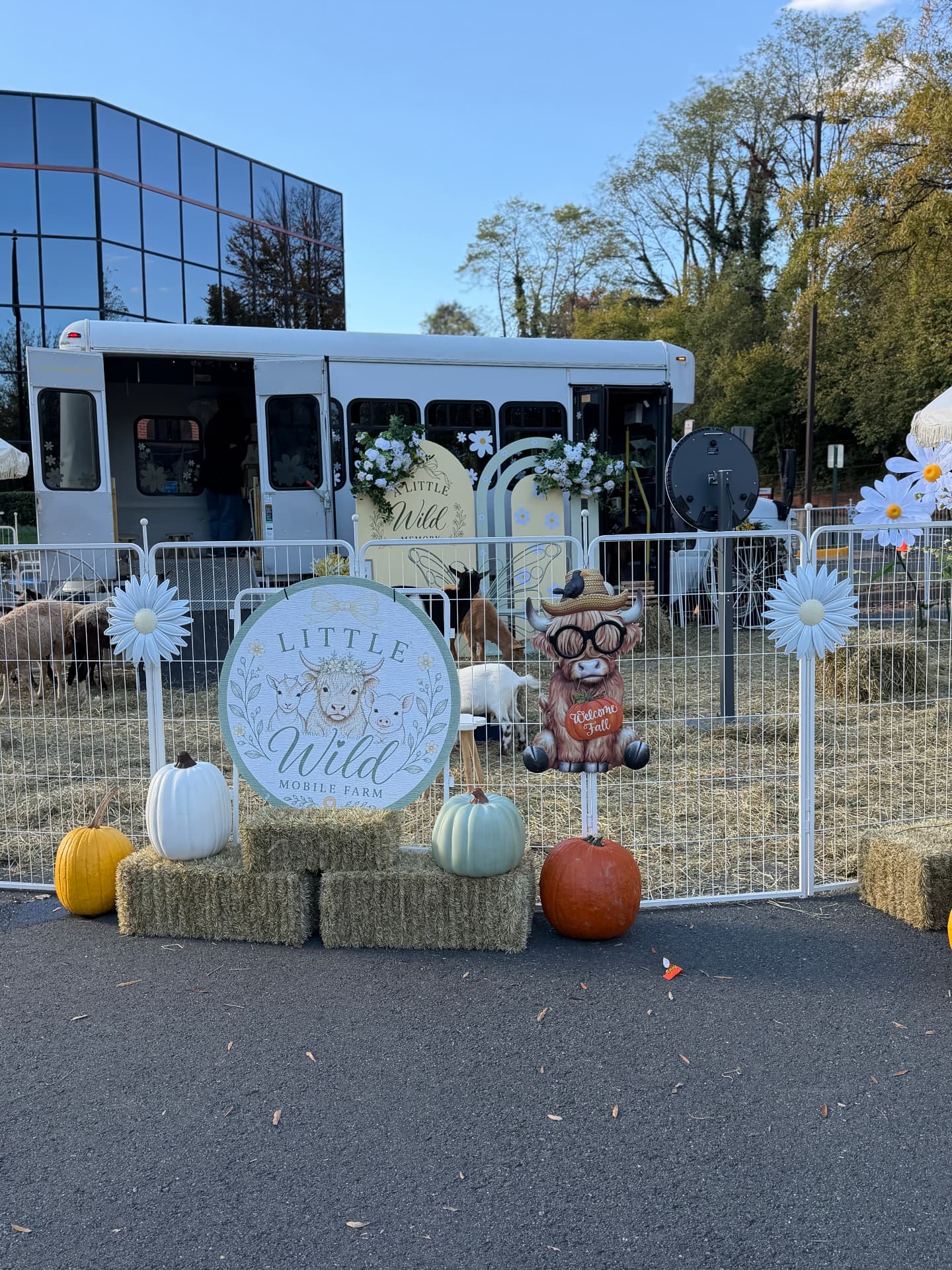 The Little Wild oval sign on hay bales with pumpkins and a fall welcome display
