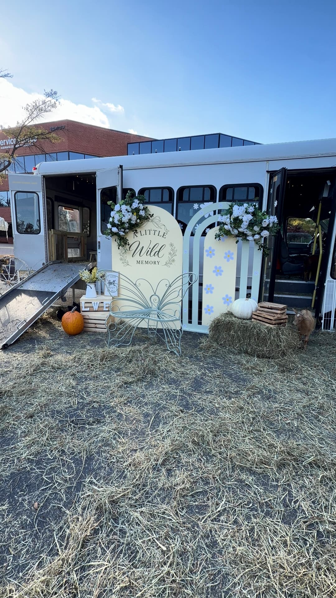 The A Little Wild Memory arch with butterfly bench, florals and a goat